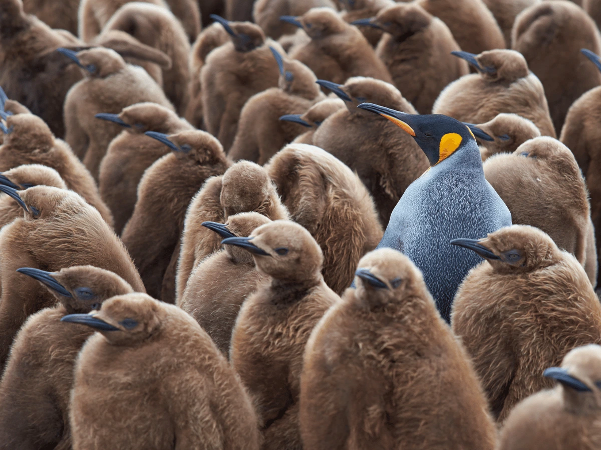 stand out